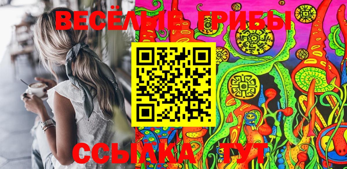 Псилоцибиновые грибы Psilocybe Чебоксары